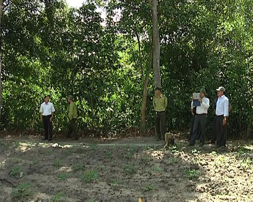 Tràn lan lấn chiếm đất rừng ở Khu Bảo tồn thiên nhiên Bình Châu - Phước Bửu